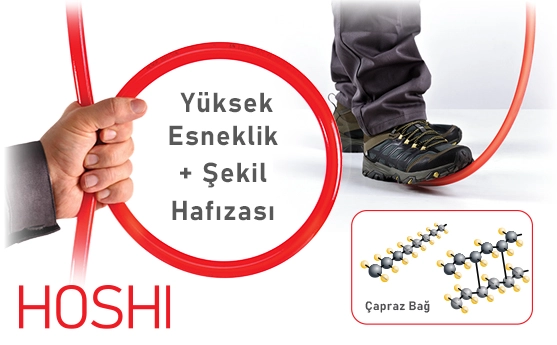 Toshiba_hoshi-pexa-boru_02.webp (64 KB)