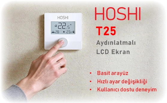 hoshi-t25-02.webp (64 KB)