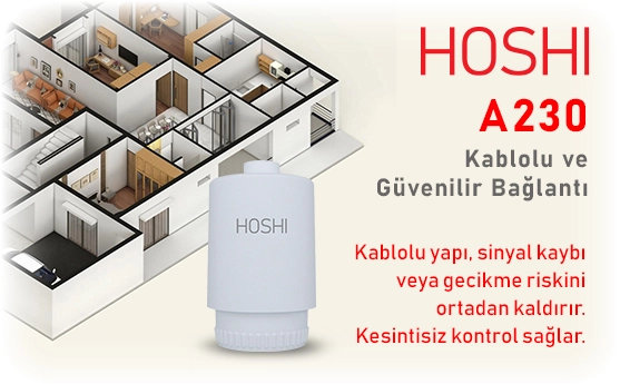 hoshi-ta230-02.webp (64 KB)